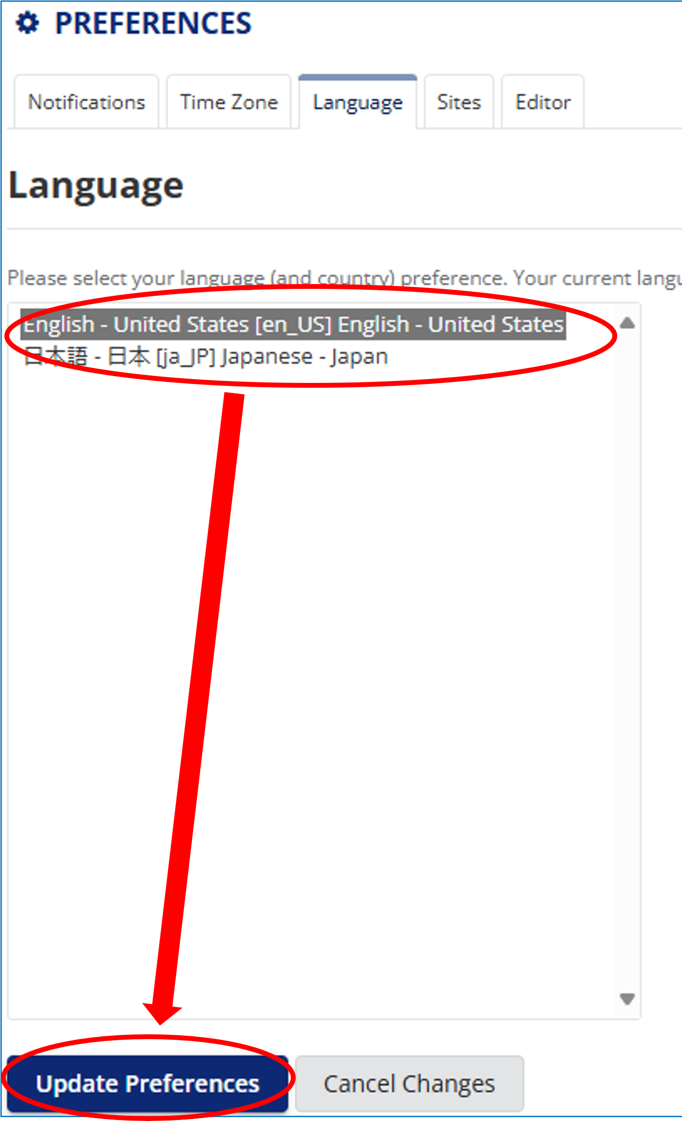 faq_lang_preferences_en.png